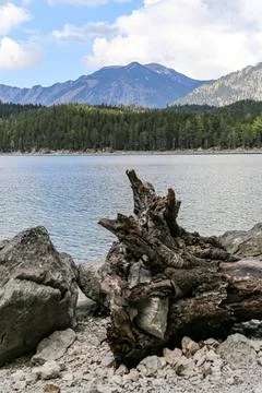 A large log is sitting on a rocky shore next to a body of water Stock Photos