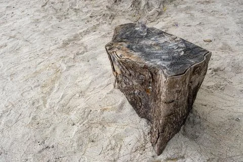 Large log is sitting on the sand Stock Photos