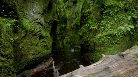 A large log is sitting in a stream of water Stock Footage 306490204
