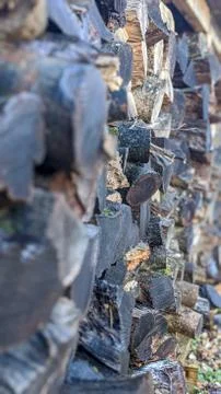 Large Log Stacks Photos