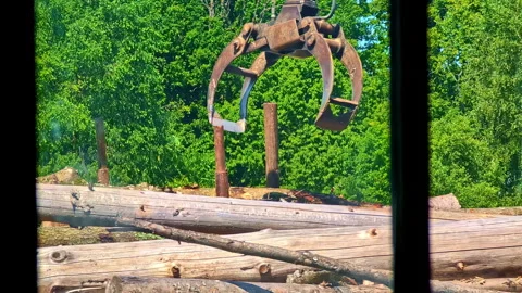 Large log truck unloading timber from trailer seen from sawmill window. Stock Footage 314703001