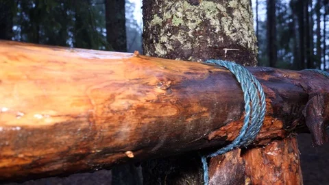 Large logs lashed or tied together in a clearing in a dark and wet pine Stock Footage 121633938