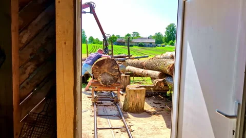 Large logs outside sawmill being prepared for cutting and processing Stock Footage 315148400