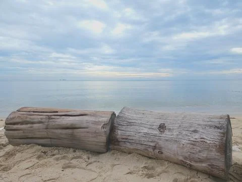Large logs was placed on the beach. Bright blue sky in the morning. Stock Photos