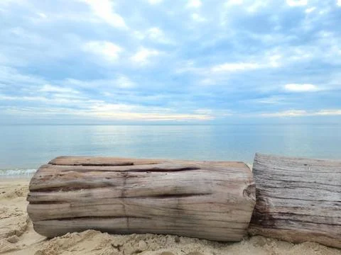 Large logs was placed on the beach. Bright blue sky in the morning. Stock Photos