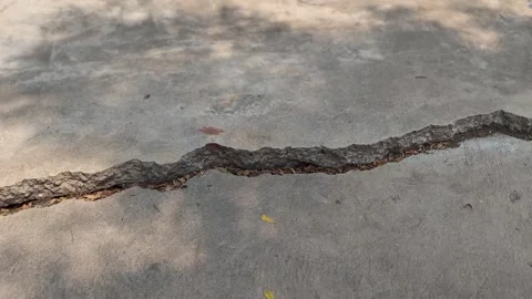 Large, long cracks and subsidence have appeared on the road surface. Stock Footage 332979576