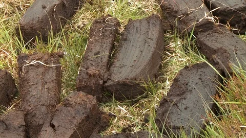 Large, Long Pieces of Wet Soil and Sod Video stock 118973003