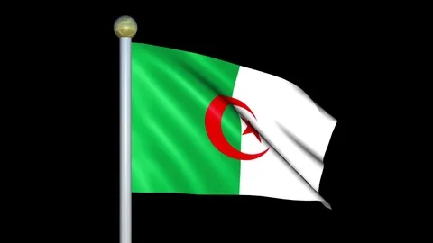 Large Looping Animated Flag of Algeria Stock Footage 73770743