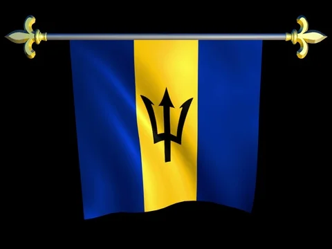 Large Looping Animated Flag of Barbados Stock Footage 73808196
