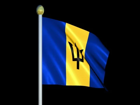 Large Looping Animated Flag of Barbados Stock Footage 73808432
