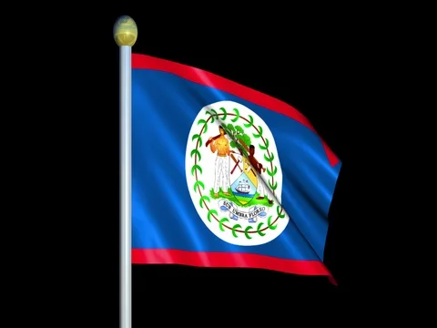 Large Looping Animated Flag of Belize Stock Footage 73810295