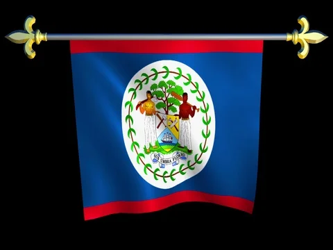Large Looping Animated Flag of Belize Stock Footage 73810363