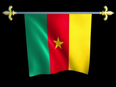 Large Looping Animated Flag of Cameroon Stock Footage 73828738