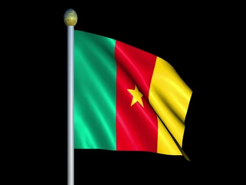 Large Looping Animated Flag of Cameroon Stock Footage 73828984
