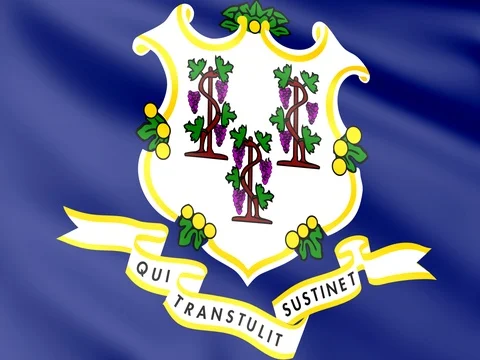 Large Looping Animated Flag of Connecticut Stock Footage 73068333
