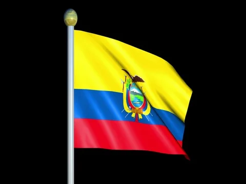 Large Looping Animated Flag of Ecuador Stock Footage 73929789