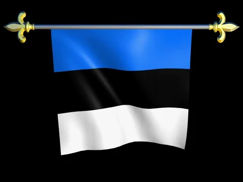 Large Looping Animated Flag of Estonia Stock Footage 73931588