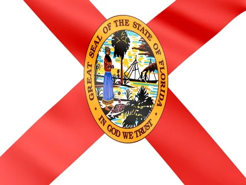 Large Looping Animated Flag of Florida Stock Footage 72980412