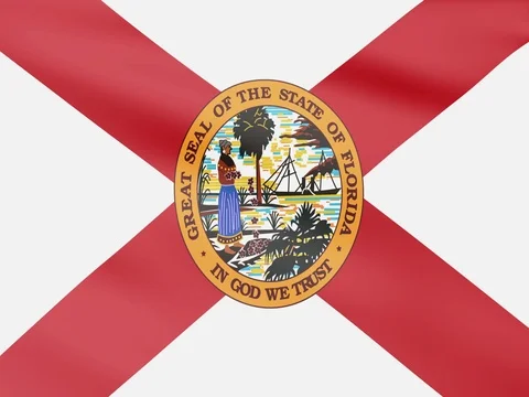 Large Looping Animated Flag of Florida Stock Footage 73439816