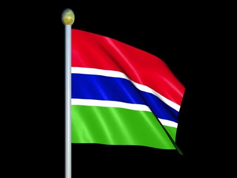 Large Looping Animated Flag of Gambia Stock Footage 73968427