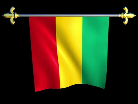 Large Looping Animated Flag of Guinea Stock Footage 73990693