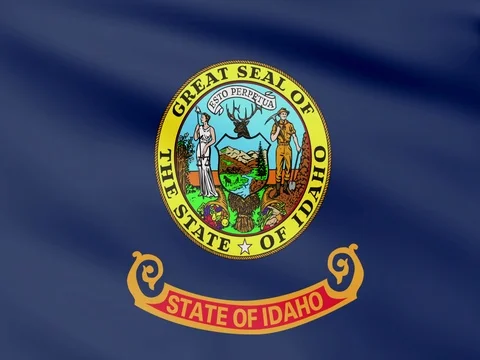 Large Looping Animated Flag of Idaho Stock Footage 73441116