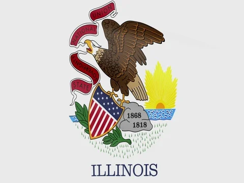 Large Looping Animated Flag of Illinois Stock Footage 73441358