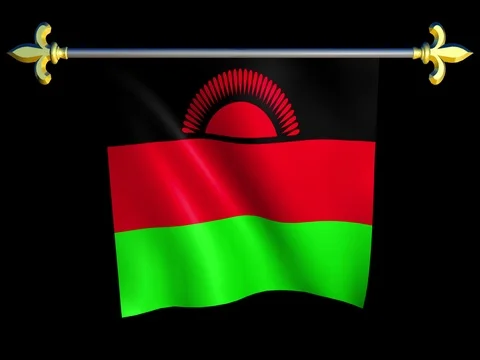 Large Looping Animated Flag of Malawi Stock Footage 74363221