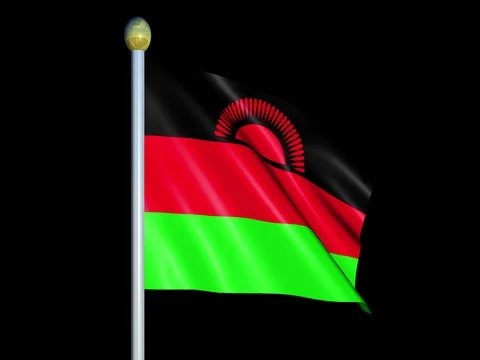 Large Looping Animated Flag of Malawi Stock Footage 74363509