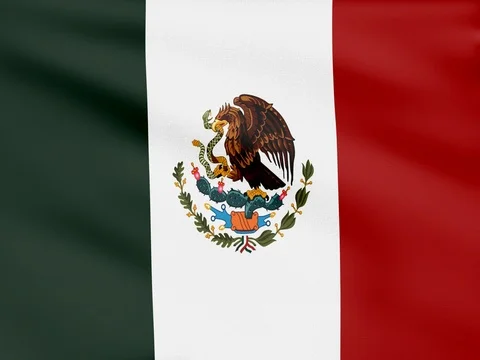 Large Looping Animated Flag of Mexico Stock Footage 73300507
