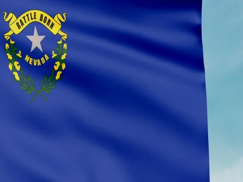 Large Looping Animated Flag of Nevada Stock Footage