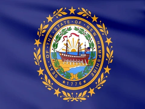 Large Looping Animated Flag of New Hampshire Stock Footage 73505958