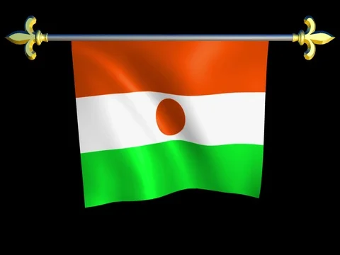 Large Looping Animated Flag of Niger Stock Footage 74549262