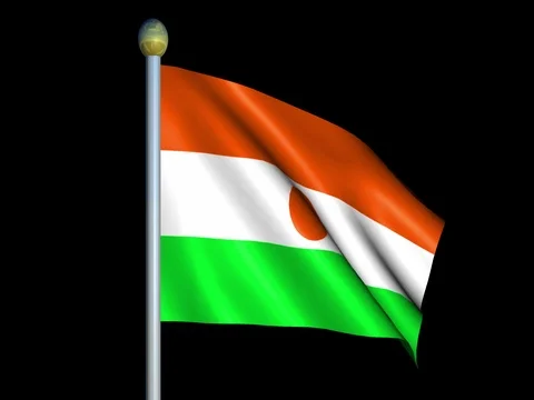 Large Looping Animated Flag of Niger Stock Footage 74549542