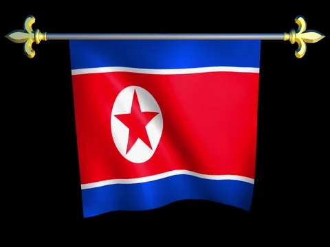 Large Looping Animated Flag of North Korea Stock Footage 73902507