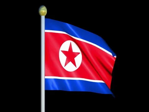 Large Looping Animated Flag of North Korea Stock Footage 73902520