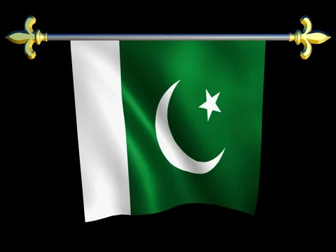 Large Looping Animated Flag of Pakistan Stock Footage 74630516