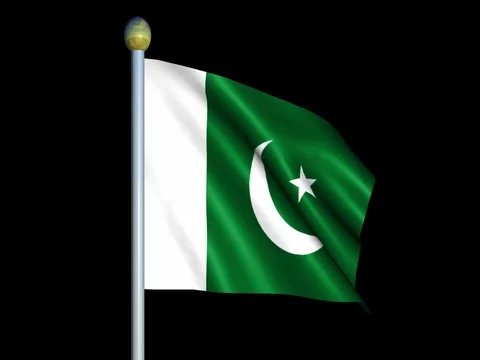 Large Looping Animated Flag of Pakistan Stock Footage 74630741