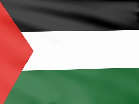 Large Looping Animated Flag of Palestine Stock Footage 73334168