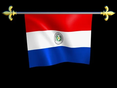 Large Looping Animated Flag of Paraguay Stock Footage 74666049