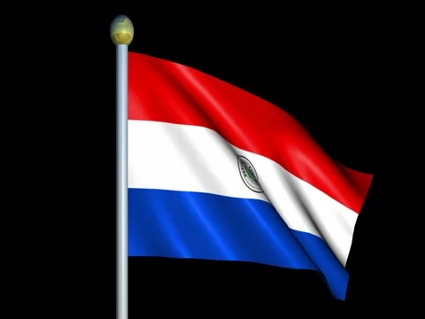 Large Looping Animated Flag of Paraguay Stock Footage 74666191