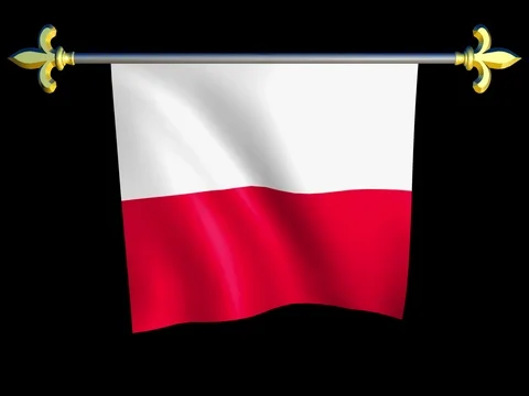 Large Looping Animated Flag of Poland Stock Footage 74667325