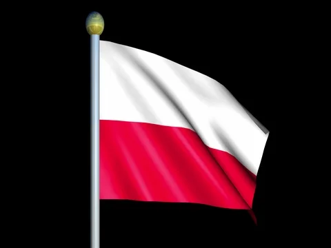 Large Looping Animated Flag of Poland Stock Footage 74667551