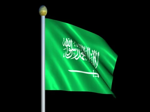Large Looping Animated Flag of Saudi Arabia Stock Footage 74737594