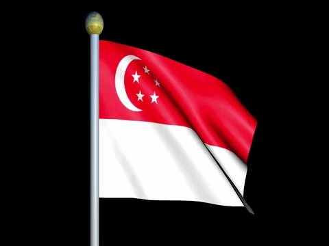 Large Looping Animated Flag of Singapore Stock Footage 74762345