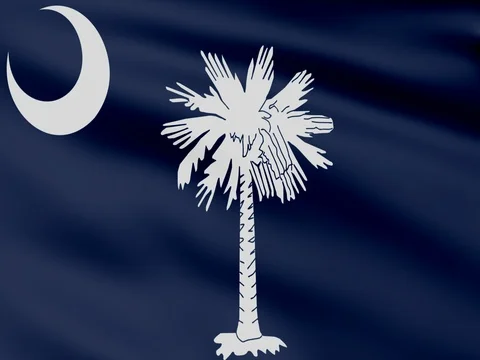 Large Looping Animated Flag of South Carolina Stock Footage 73126361