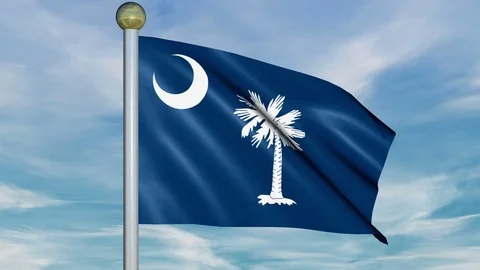Large Looping Animated Flag of South Carolina Stock Footage 73707591