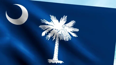 Large Looping Animated Flag of South Carolina Stock Footage 73707596