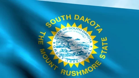 Large Looping Animated Flag of South Dakota Stock Footage 73708518