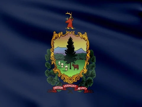 Large Looping Animated Flag of Vermont Stock Footage 73127802